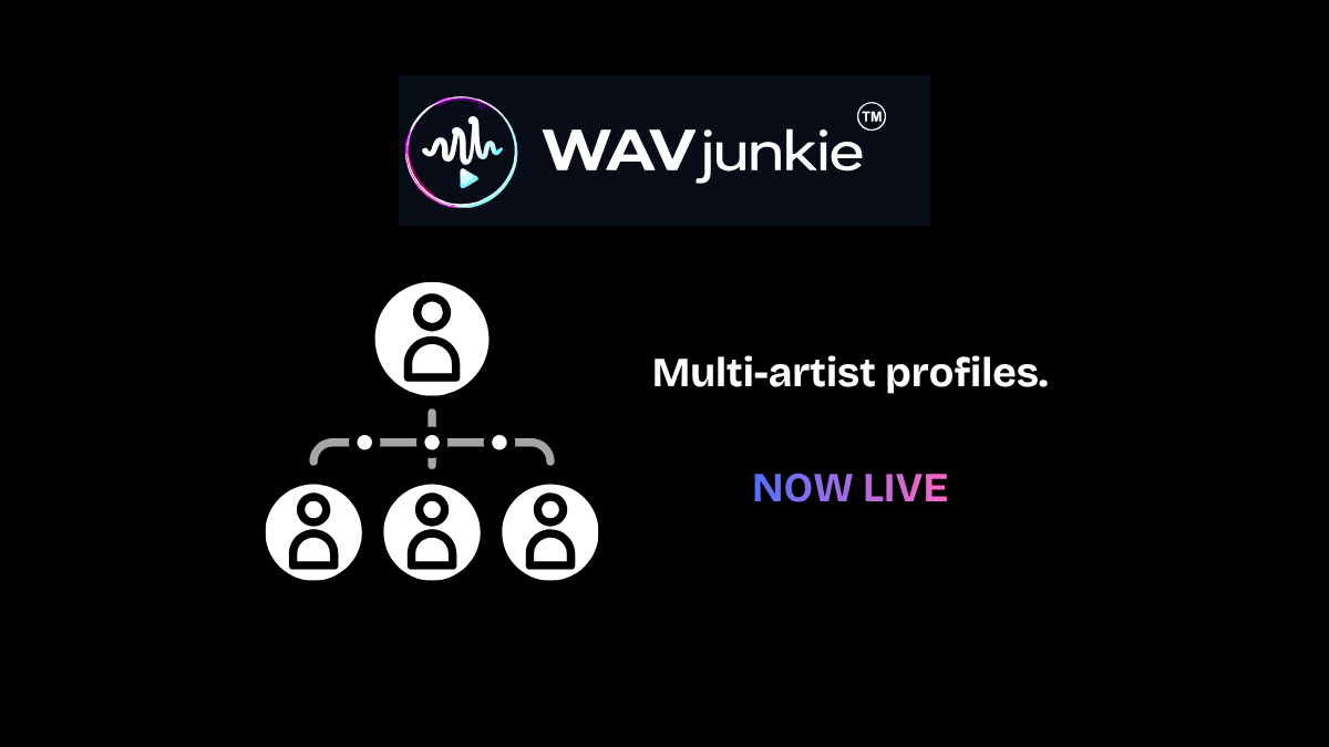 One Account. Multiple Artists